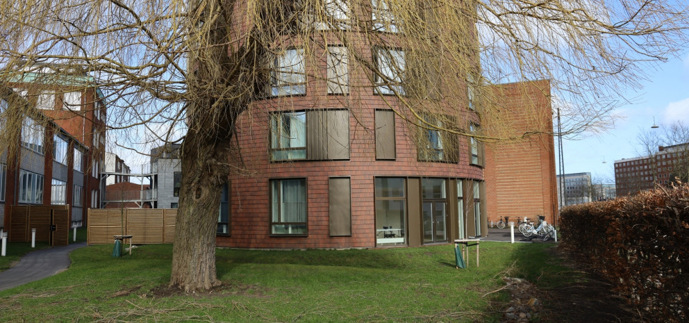 1920x900 Banner Doppelschindel 07 Tonwerk Klinker