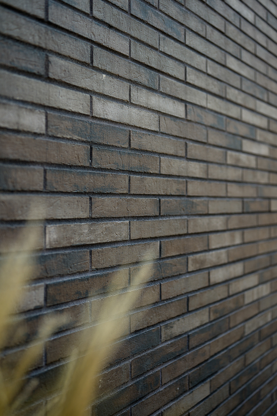 233605800005 Brick House Krakau PL Bergamo 02