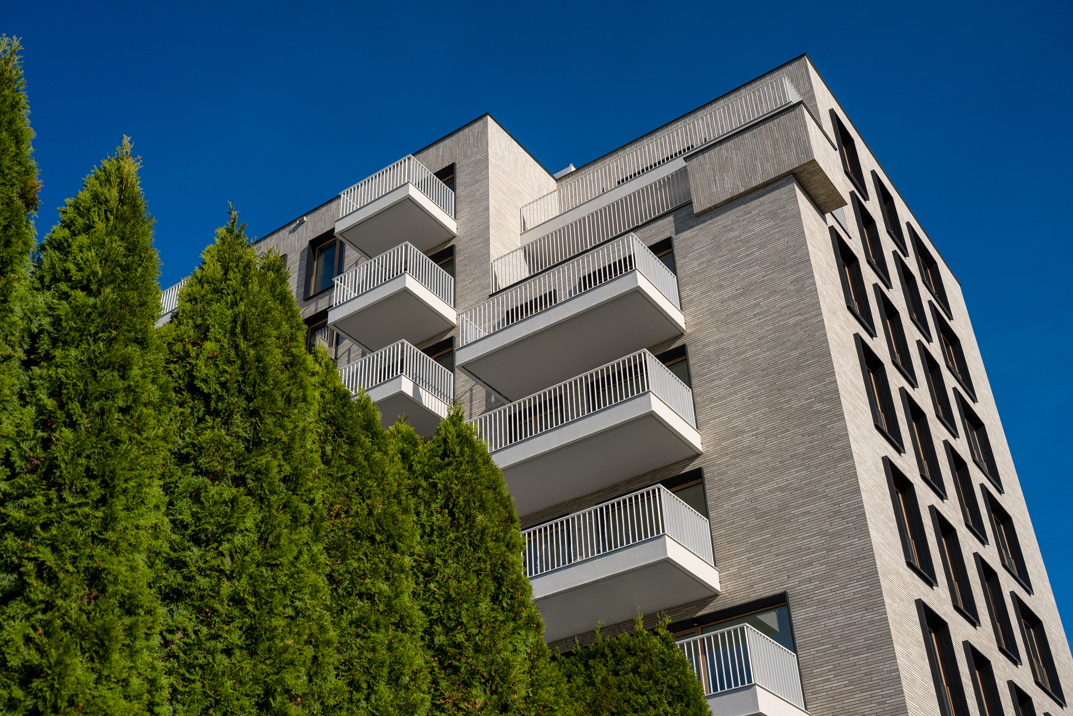 234704810033 Noho Lindego2 Krakau PL Kansas 01